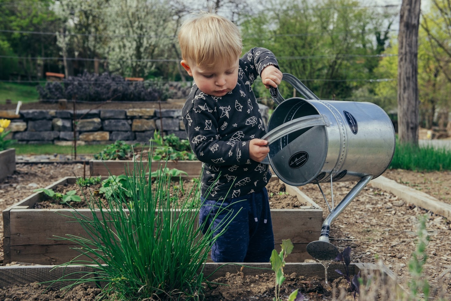 Mit Kindern die Natur neu entdecken